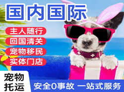 昌北机场物流国际宠物托运 【国